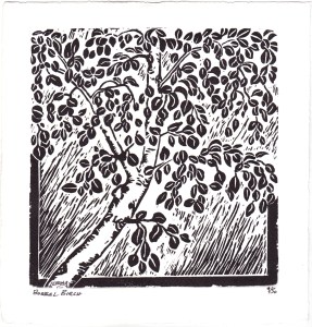 Boreal Birch, Linocut print by Leslie Leong, Canadian Artist, Whitehorse, Yukon