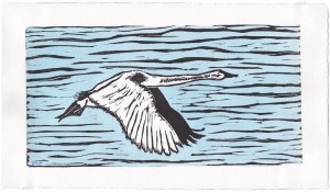 Swan in Flight, Linocut print watercolour washed by Leslie Leong, Canadian Artist, Whitehorse, Yukon
