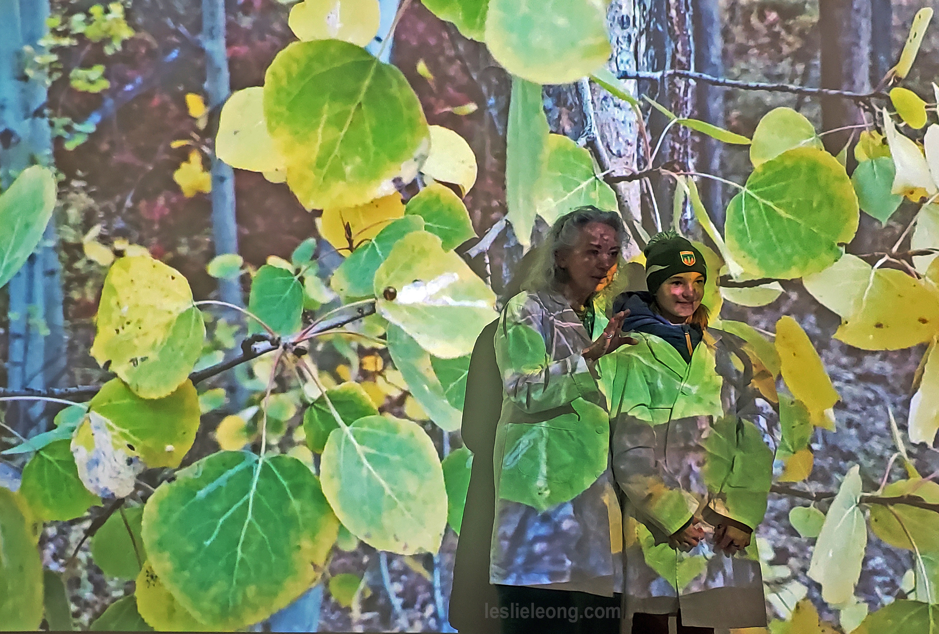 20221125_174518 edit